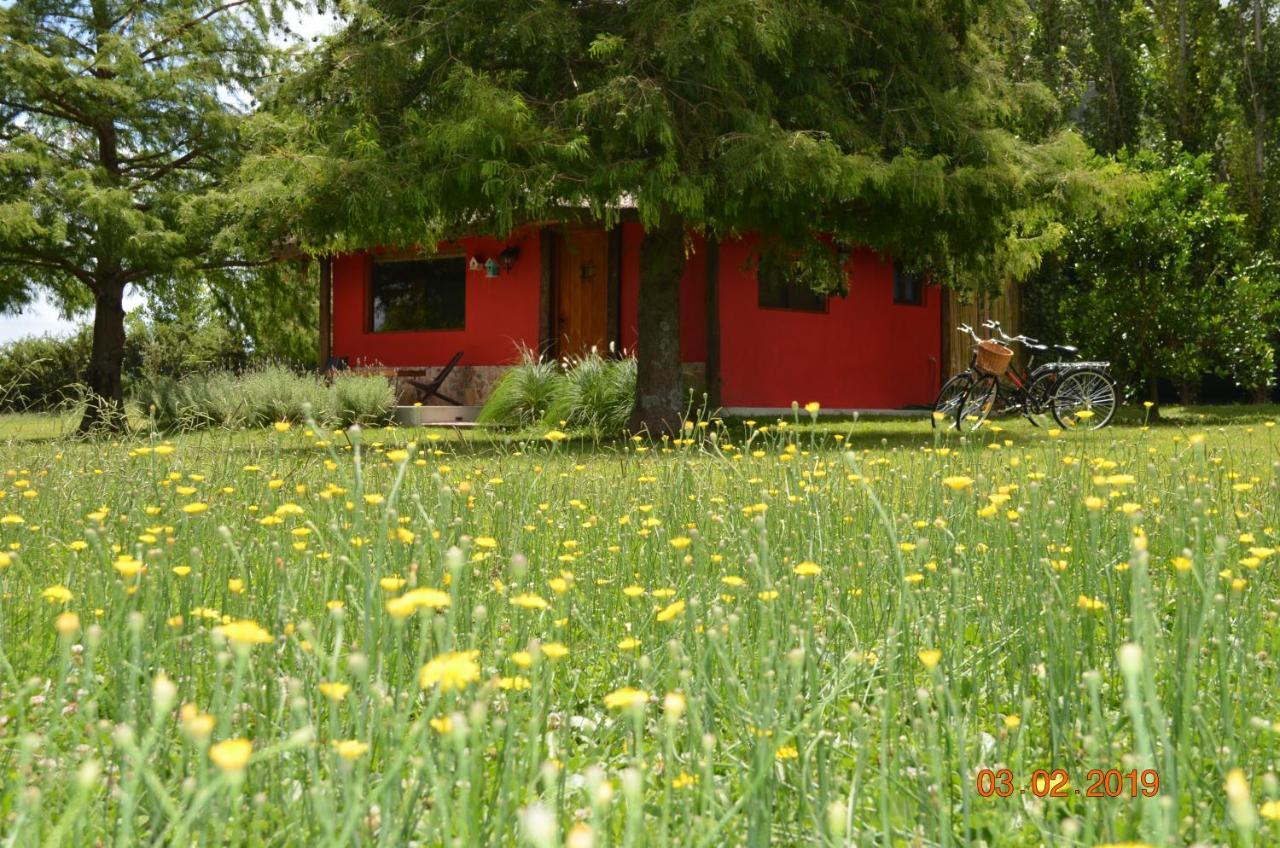 Cabana La Toscana Carmelo Extérieur photo